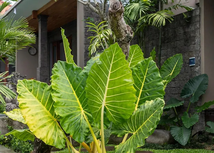 Royal Private Ubud (Bali)